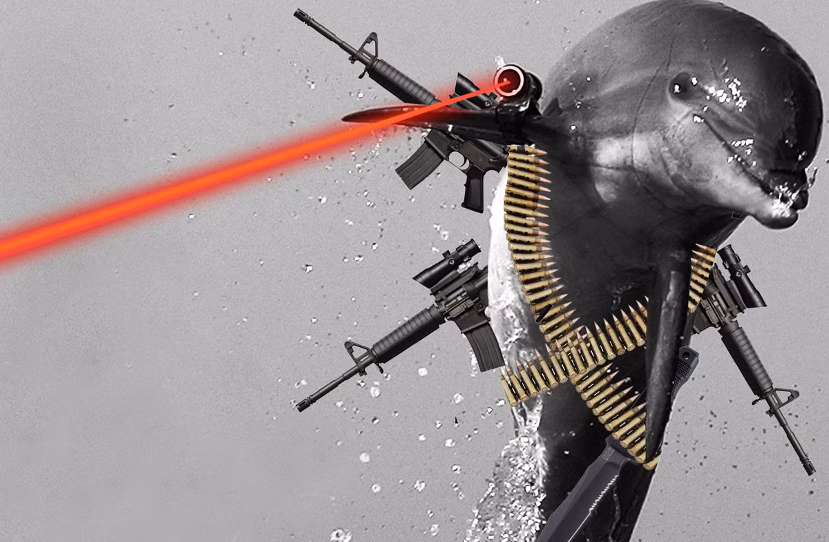 Thứ sáu là dùng cá heo cứu thủy thủ, chống tàu chiến và phá mìn, theo các nguồn tin, dự án này được cả Mỹ và Nga triển khai với mục đích dùng cá heo quân sự cứu lính hải quân và dò tìm mìn dưới nước. 