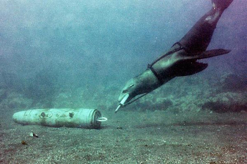 Loại cá heo này còn mang theo những thiết bị tinh vi như phi tiêu độc, các thiết bị gây nhiễu sóng siêu âm, mang theo vũ khí sát thương đối phương và diệt tàu chiến. Hiện dự án này được giữ bí mật nghiêm ngặt.