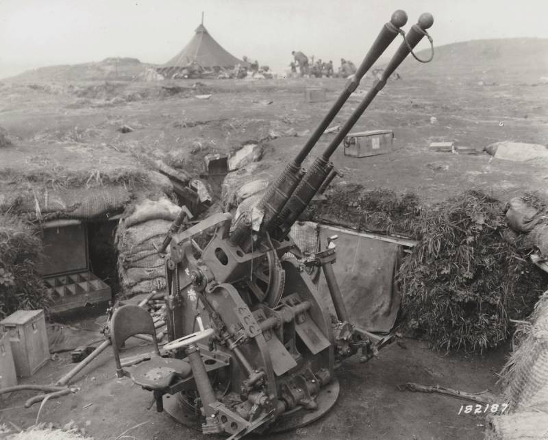 Pháo phòng không 25 mm được sử dụng rộng rãi trong hải quân và lục quân, nhưng cấu tạo còn nhiều thiếu sót, nhất là việc tiếp đạn bằng hộp 15 viên, chứ không phải bằng dây, nên tốc độ bắn rất thấp. Nhưng vào những năm 1930, người Nhật không có những trung tâm thiết kế vũ khí cơ bản, và họ đã chọn sao chép mẫu đã hoàn chỉnh của Pháp.