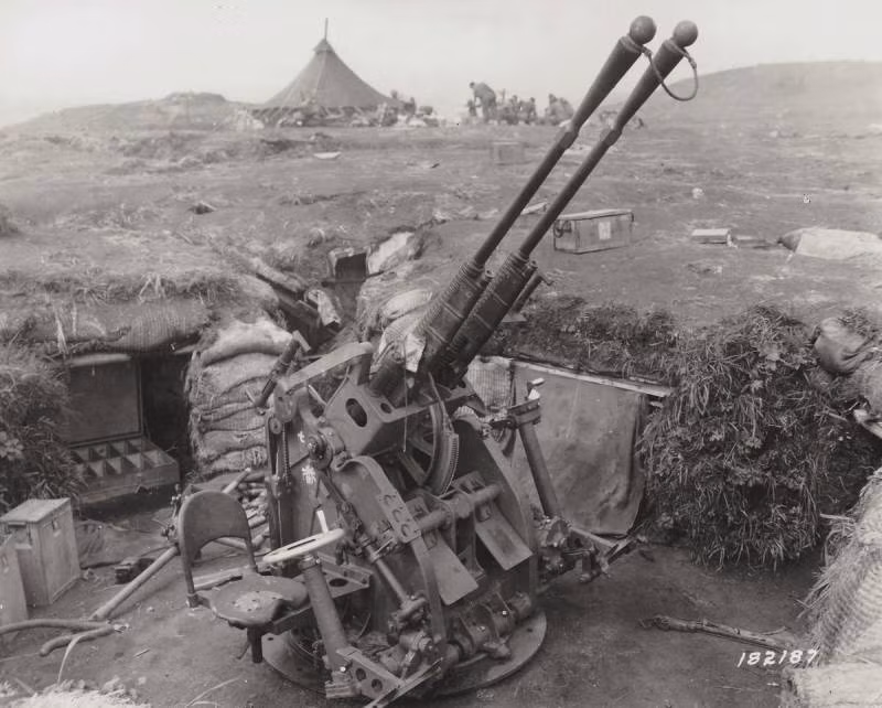 Pháo phòng không 25 mm được sử dụng rộng rãi trong hải quân và lục quân, nhưng cấu tạo còn nhiều thiếu sót, nhất là việc tiếp đạn bằng hộp 15 viên, chứ không phải bằng dây, nên tốc độ bắn rất thấp. Nhưng vào những năm 1930, người Nhật không có những trung tâm thiết kế vũ khí cơ bản, và họ đã chọn sao chép mẫu đã hoàn chỉnh của Pháp.