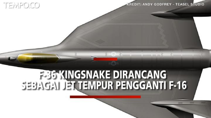 Tuy nhiên là một máy bay chiến đấu không chú trọng đến tính năng tàng hình, F-36 cũng sẽ được trang bị các điểm treo vũ khí bên ngoài dưới cánh. Ngoài ra, F-36 sẽ được trang bị pháo hàng không để thực hiện các cuộc tấn công vào mục tiêu trên mặt đất của đối phương.