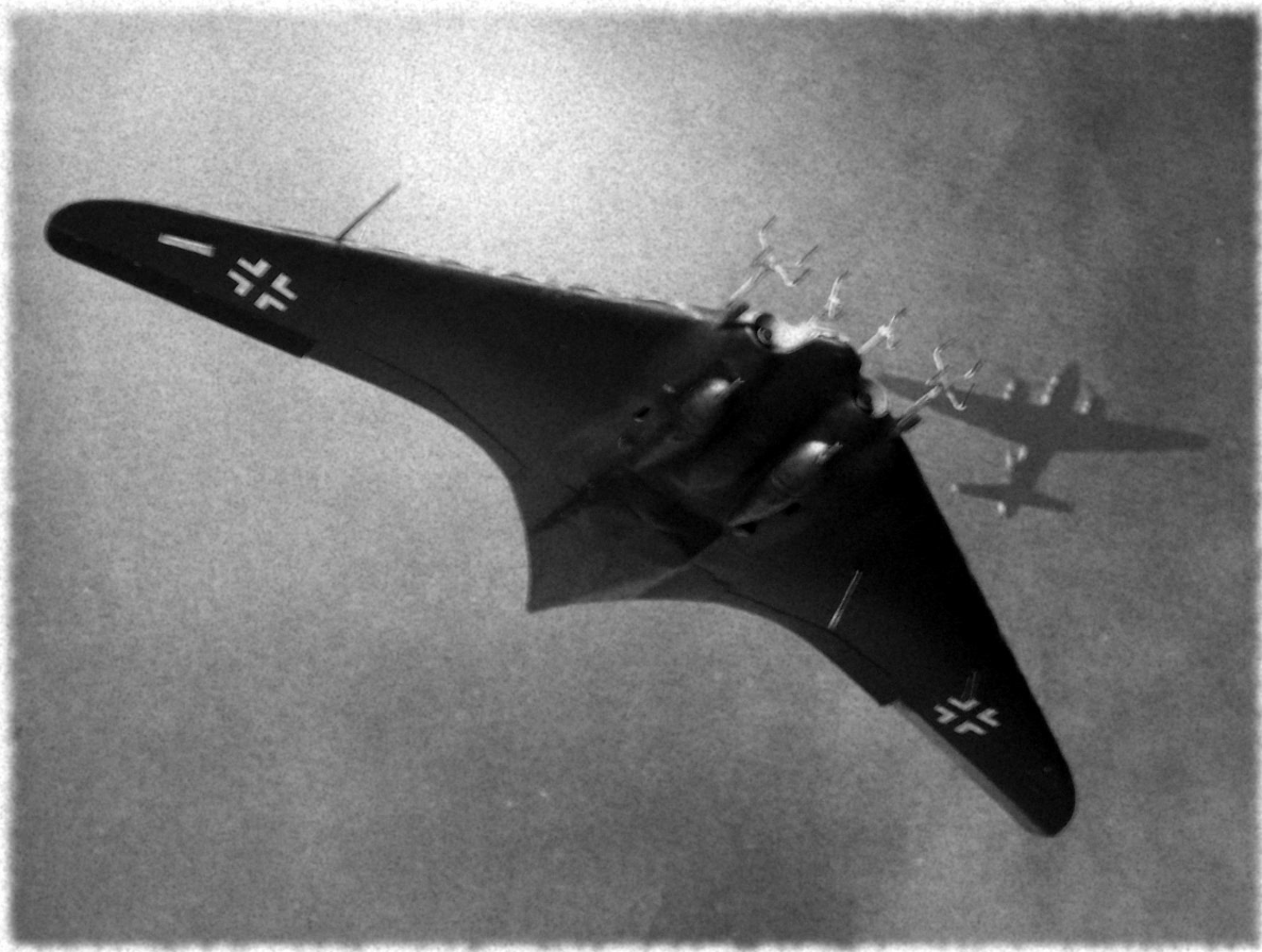 Horten 229 được đánh giá là chiến đấu cơ tốt nhất, từng hoạt động cho đến những năm 1960. Hitler đã quá muộn khi mang ra sử dụng, nếu không Horten 229 sẽ là nỗi khiếp sợ lớn cho toàn nhân loại. Mỹ đã nhanh chân lấy được phát minh này vào và phát triển nó thành các loại máy bay tàng hình cho riêng mình.