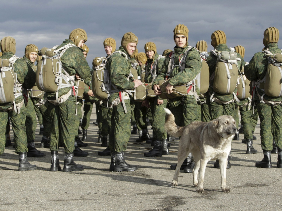 Còn đối với Nga, hoạt động trên được cho là có một chút khác biệt. Lực lượng nhảy Dù Nga là một nhánh độc lập của lực lượng vũ trang, được thiết kế để giải quyết một loạt các nhiệm vụ.