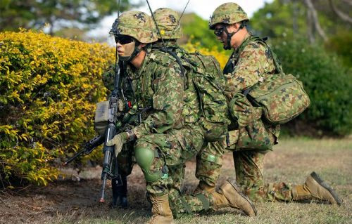 Dù không được tuyên bố rõ ràng nhưng trên thực tế, giới quan sát cho rằng mục tiêu của cuộc tập trận là “chống lại Trung Quốc”. Đánh giá về quy mô của cuộc tập trận, lý do khiến cuộc tập trận này không phổ biến ở Nhật Bản chủ yếu là vì lần cuối cùng Nhật Bản tổ chức một cuộc tập trận toàn quốc là vào năm 1993.