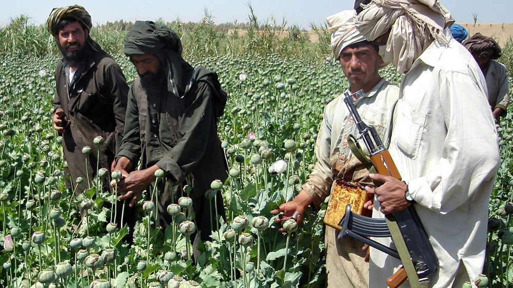 Mặc dù trước đây, Taliban dựa vào buôn bán heroin để có nguồn kinh phí chiến tranh, nhưng trong hội nghị của mình nhóm này cũng cam kết loại bỏ việc trồng cây thuốc phiện trong nước, khiến mất đi một nguồn thu nhập có giá trị.