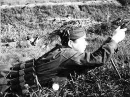 Theo lệnh, trong tháng 9/1941 phải sản xuất và chuyển giao cho quân đội 10 vạn khẩu cối BM-37 mới. Vào tháng 12, đã có 100 nghìn khẩu được sản xuất, kèm theo đó là hơn 7,5 triệu quả đạn cối kiểu mới.