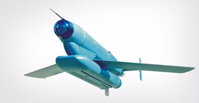 Với loại máy bay này, những quả bom dẫn đường có thể được sử dụng. Phiên bản đầu tiên là Raptor I, loại bom lượn có tầm bắn lên tới 59,55 km. Trên cơ sở Raptor I, một loại đạn có đầu đạn hạt nhân, được gọi là HAMERKOP, đã được tạo ra.