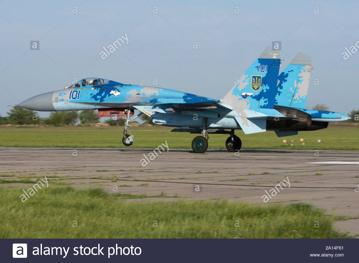 Các kỹ sư của Ukraine cũng đã tìm cách tháo rời, đóng thùng và chuyển về Ukraine được một số máy bay; trong đó có cả một số máy bay chiến đấu MiG-29. Số máy bay chiến đấu này, đã kịp thời bổ sung cho lực lượng Không quân Ukraine, tham chiến ở Miền Đông sau đó.