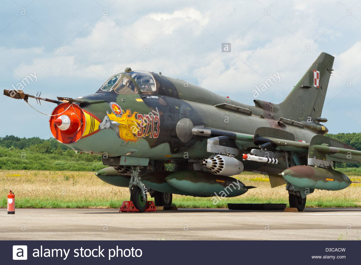 Hợp đồng mua 32 chiếc F-35A, đã tiêu tốn của Ba Lan 4,6 tỷ USD (không tính chi phí vũ khí và các dịch vụ đi kèm). Ba Lan đang suy xét về việc tạm dừng trang bị F-35 trong thời gian dài hơn, hoặc dừng do nền kinh tế bị ảnh hưởng của Covid-19. Không quân Ba Lan sẽ vẫn tiếp tục sử dụng máy bay của Liên Xô.