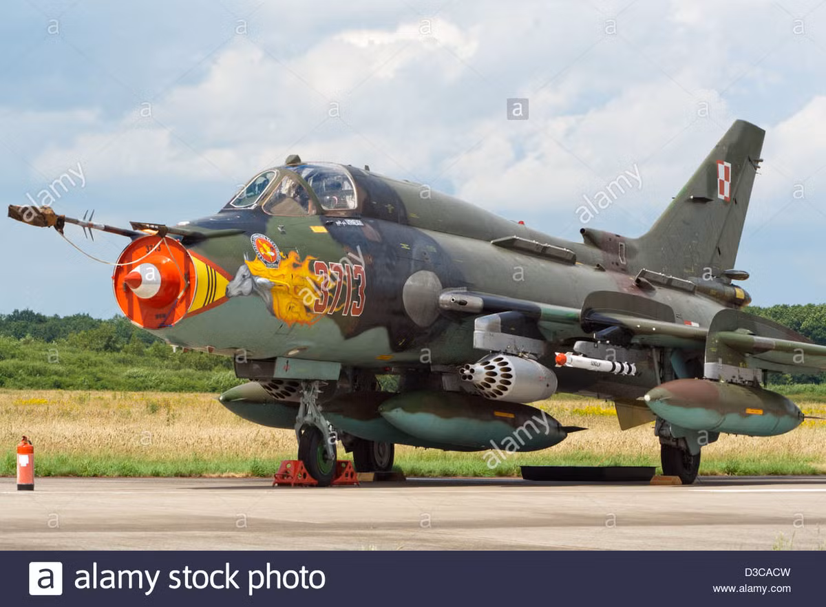 Hợp đồng mua 32 chiếc F-35A, đã tiêu tốn của Ba Lan 4,6 tỷ USD (không tính chi phí vũ khí và các dịch vụ đi kèm). Ba Lan đang suy xét về việc tạm dừng trang bị F-35 trong thời gian dài hơn, hoặc dừng do nền kinh tế bị ảnh hưởng của Covid-19. Không quân Ba Lan sẽ vẫn tiếp tục sử dụng máy bay của Liên Xô.