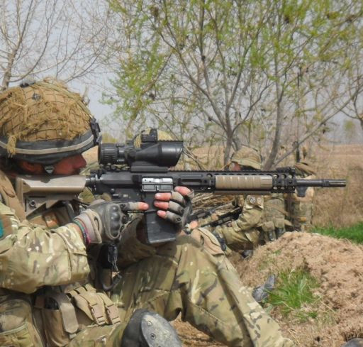 Quân đội New Zealand gần đây đã sử dụng phiên bản MARS carbine, một bản nâng cấp đơn giản. Các nhà sản xuất vũ khí Mỹ tiếp tục cung cấp các phiên bản mới với những cải tiến như lên đạn bằng trích khí ngắn, nòng "treo". Súng trường bắn tỉa L129, một biến thể của M-16, giờ là vũ khí phổ biến của quân đội Anh.