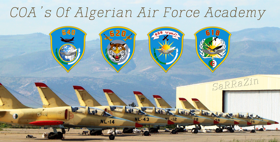 Đầu tiên là lực lượng không quân Algeria, một trong những quốc gia sở hữu phi đội lớn nhất ở châu Phi. Không quân Algeria kết hợp số lượng vũ khí trang bị hiện đại và trình độ đào tạo nhân viên cao, theo cách mà không quân nào trên lục địa này làm được. 