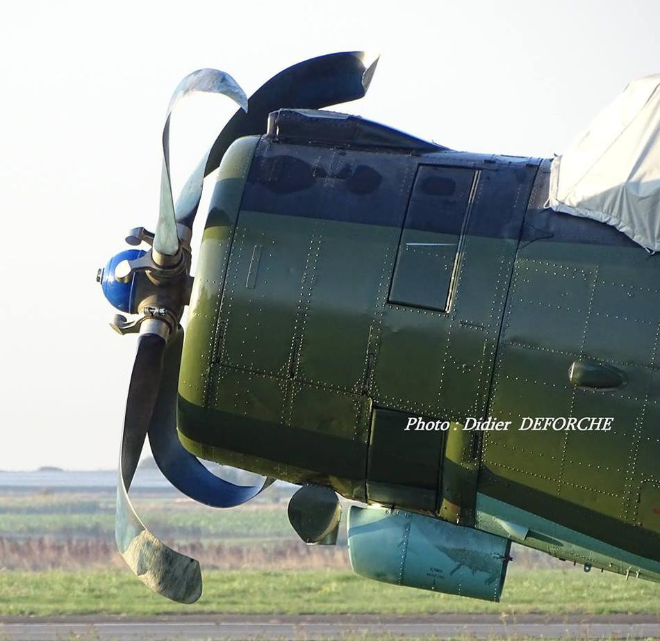Phần cánh quạt của vận tải cơ An-2 bị hỏng hoàn toàn tuy nhiên cũng vẫn có thể sửa chữa được nếu có dụng cụ phù hợp. Nguồn ảnh: Deforche.