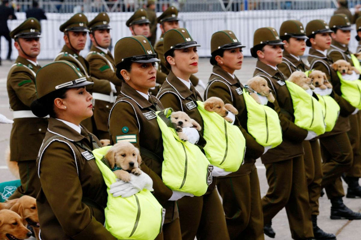 Quân đội Chile cũng chính là lực lượng chính tham gia vào cuộc đảo chính, chiếm chính quyền dựng lên chế độ độc tài Pinochet hồi năm 1973. Nguồn ảnh: FTA.