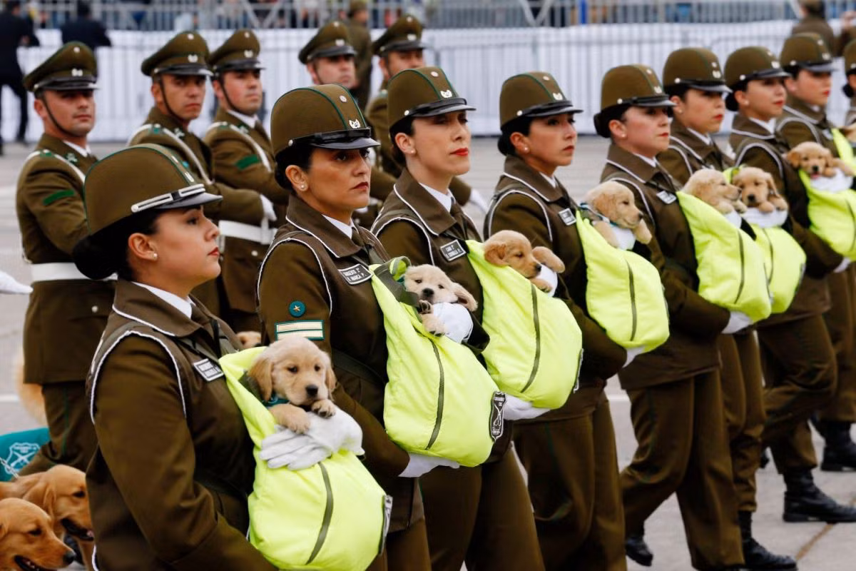 Quân đội Chile cũng chính là lực lượng chính tham gia vào cuộc đảo chính, chiếm chính quyền dựng lên chế độ độc tài Pinochet hồi năm 1973. Nguồn ảnh: FTA.