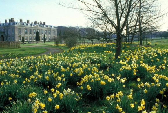 "Khu vực hồ Oval Lake nơi Vương phi xứ Wales an nghỉ được tiến hành duy tu, thiết kế lại nhằm tôn vinh những kỷ niệm tươi đẹp về bà. Ngoài ra, toàn bộ khu vườn bên trong dinh thự Althorp cũng có thiết kế mới hoàn toàn, làm nổi bật vẻ thanh khiết của hòn đảo nhân tạo nằm chính giữa hồ", ông Charles Spencer - em trai ruột của vị Công nương Diana nói.