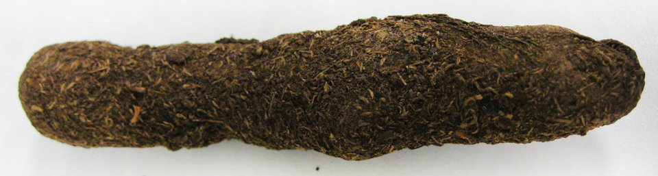 Bon loai vu khi di nhat My tung su dung trong Chien tranh Viet Nam-Hinh-2