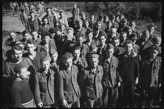 Những tù binh Đức đầu tiên bị Hồng quân Liên Xô bắt giữ tại mặt trận Ukraine. Những tù binh này đều thuộc cánh quân phía nam - có nhiệm vụ đánh chiếm vùng dầu mỏ của Liên Xô nhưng thất bại. Nguồn ảnh: EngRus.