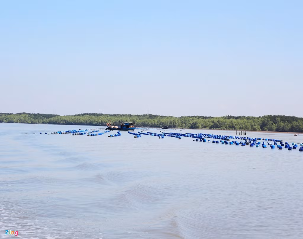  Làng nuôi hàu trên sông tại Cần Giờ có khoảng 40 hộ dân. Thời gian để bạn di chuyển hết làng hàu bằng tàu gỗ trên sông khoảng 1 giờ 45 phút. Trên tàu có chương trình đàn ca tài tử, các món ăn nhẹ để giúp du khách thư giãn trong lúc tham quan.