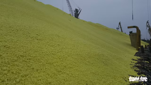 Dan hoang mang truoc nhung 'nui' luu huynh o cang Hai Phong-Hinh-5