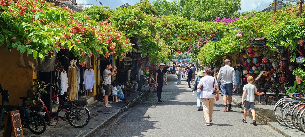 Hoa sử quân tử có khắp nơi trong phố Hội, từ những hàng quán ven đường đến các ngôi nhà cổ kính.