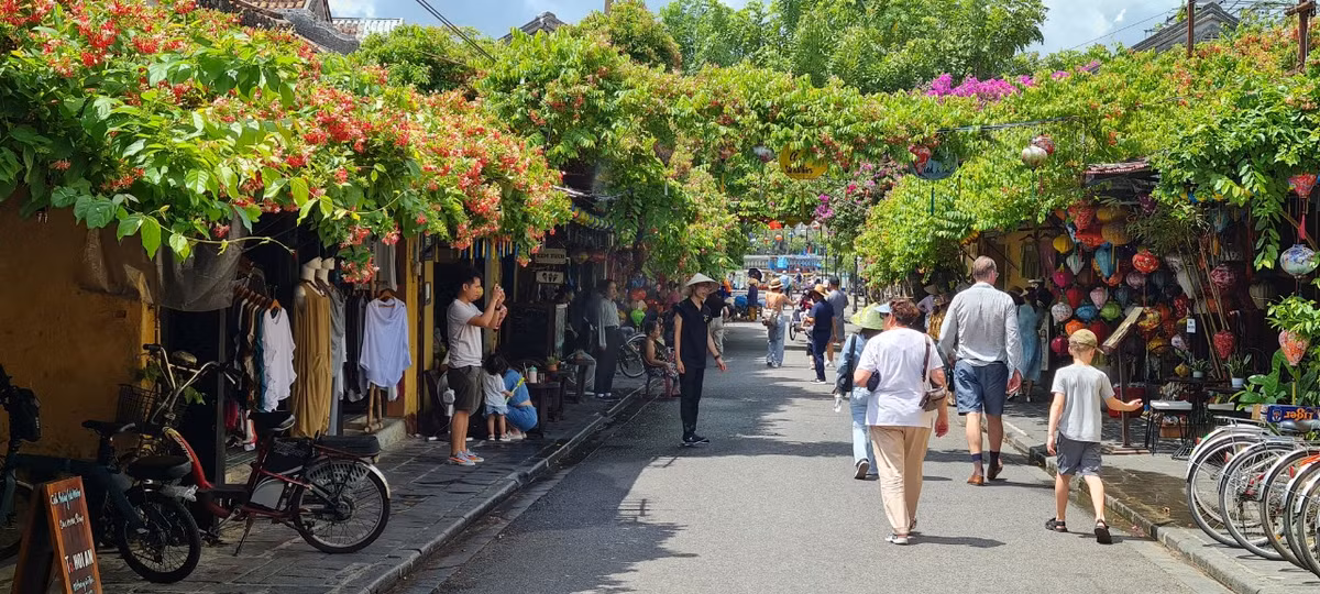 Hoa sử quân tử có khắp nơi trong phố Hội, từ những hàng quán ven đường đến các ngôi nhà cổ kính.