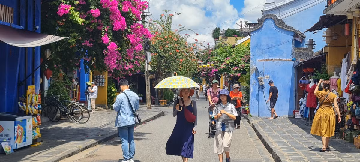 Bên cạnh những ngôi nhà cổ kính rêu phong, hoa giấy Hội An cũng là một thành phần không thể thiếu làm nên nét đặc trưng của phố cổ. 