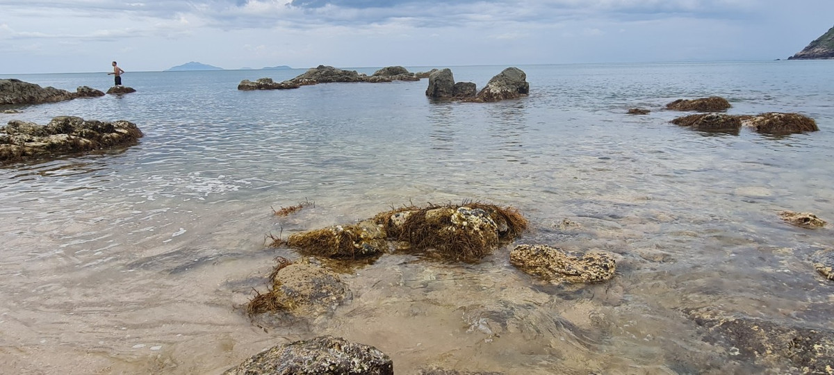 Quanh năm ít gió, không có sóng lớn, biển lặng và êm đềm đến lạ.