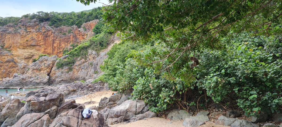 Ven biển là những rừng cây xanh mát che nắng, tạo bóng mát cho khách nghỉ chân. Khung cảnh hoang sơ với những chú khỉ tinh nghịch, dạn dĩ hứa hẹn là "background" có 1-0-2 cho những tấm hình cực chất.