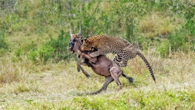 Hanh trinh 3 tieng rinh va chua den 1 giay ha guc con moi