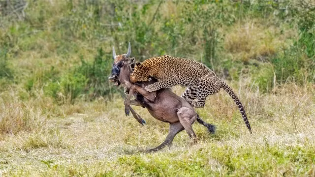 Hanh trinh 3 tieng rinh va chua den 1 giay ha guc con moi