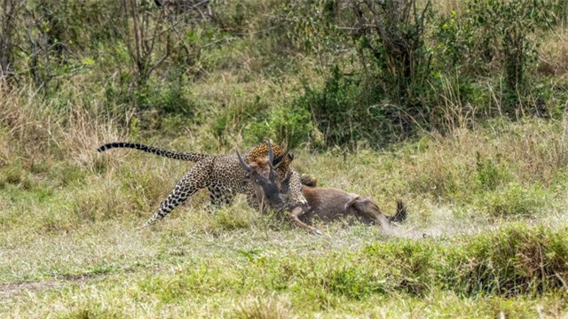 Hanh trinh 3 tieng rinh va chua den 1 giay ha guc con moi-Hinh-2