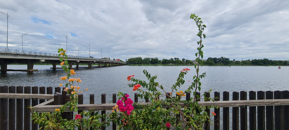 Việc lựa chọn gỗ lim vừa cứng, bền, đẹp lại thân thiện với môi trường cùng với dãy lan can bằng đồng đã tạo nên sự “sang chảnh” cho chiếc cầu.