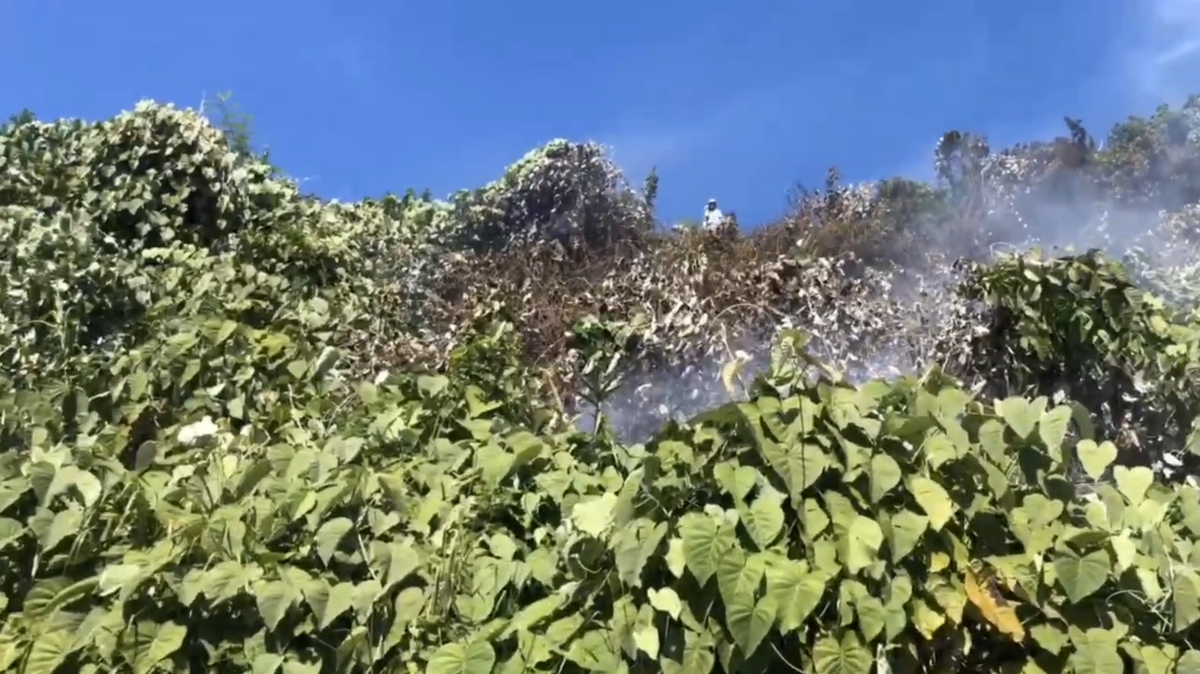 Đến khoảng 10h30, đám cháy đã cơ bản được khống chế.