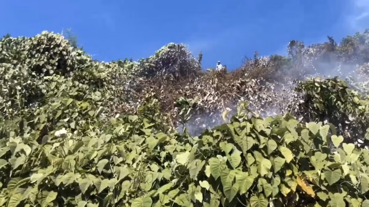 Đến khoảng 10h30, đám cháy đã cơ bản được khống chế.