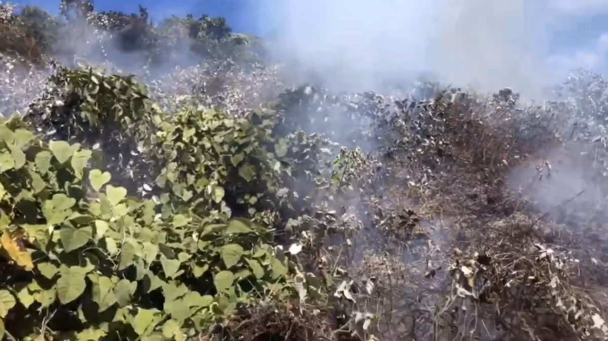 Lực lượng chức năng đã phân công 30 người tiếp tục túc trực, để phòng đám cháy bùng phát trở lại.