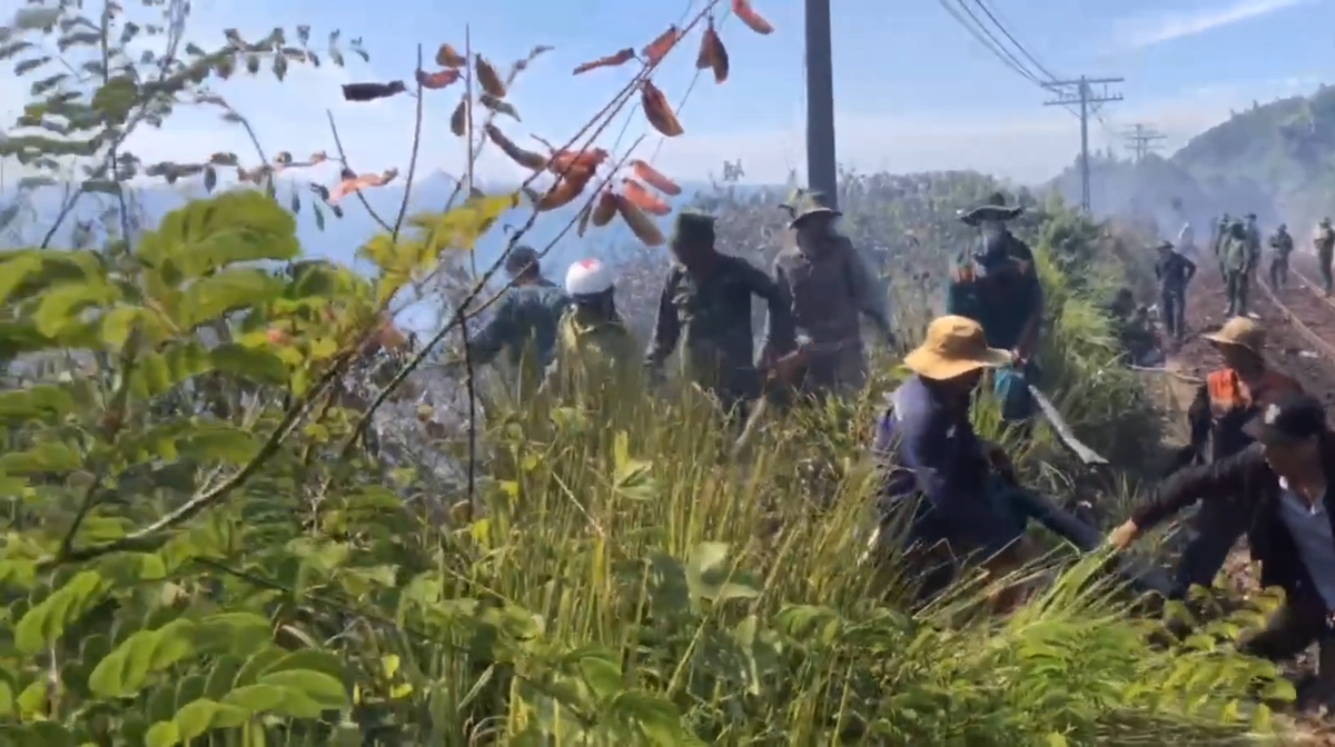 Do thời tiết rất hanh và nắng nóng, việc chữa cháy gặp rất nhiều khó khăn.