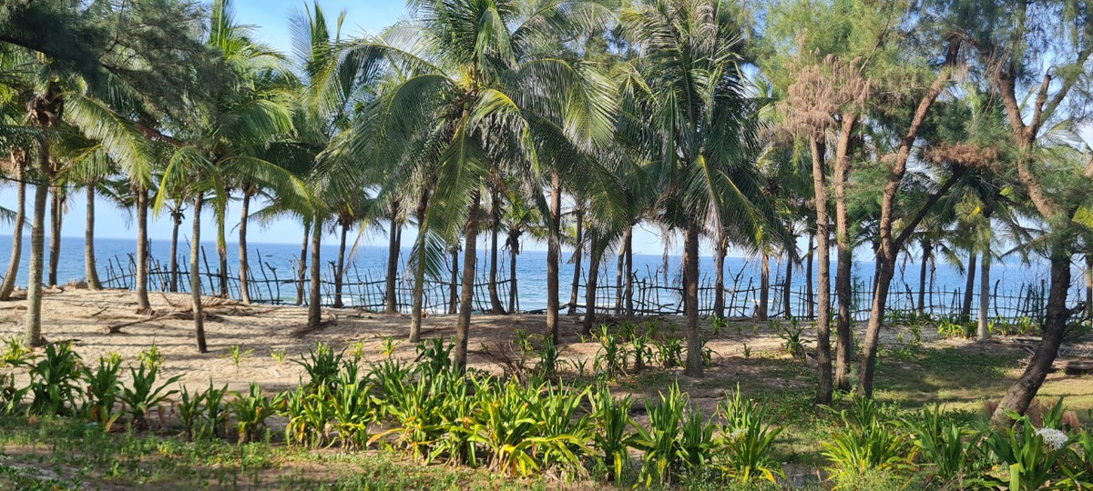 Bãi biển Hà My bắt đầu nổi tiếng khi được Telegraph bình chọn là 1 trong 10 bãi biển đẹp nhất châu Á vào năm 2017.