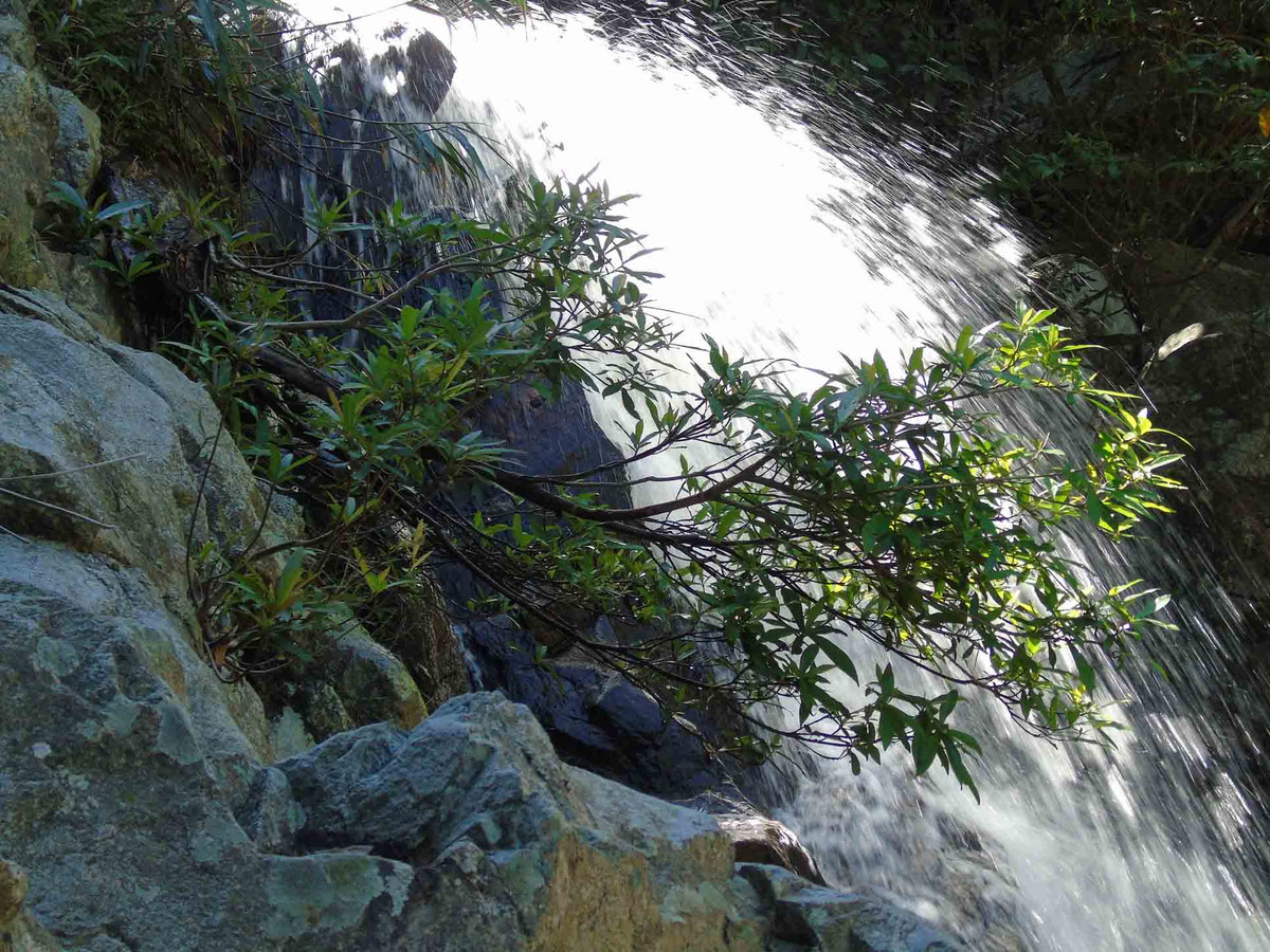 Dòng suối này sẽ là gợi ý thú vị khi du khách có dịp đến với Đơn Dương. Ảnh: Nguyễn Hữu Khoa