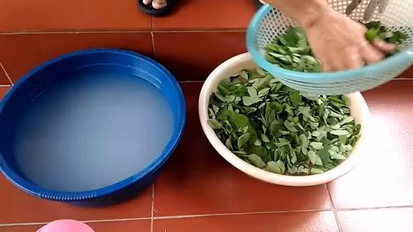 Meo de rau ngot 10 ngay van tuoi, giu nguyen duong chat-Hinh-3