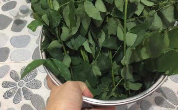 Meo de rau ngot 10 ngay van tuoi, giu nguyen duong chat-Hinh-2