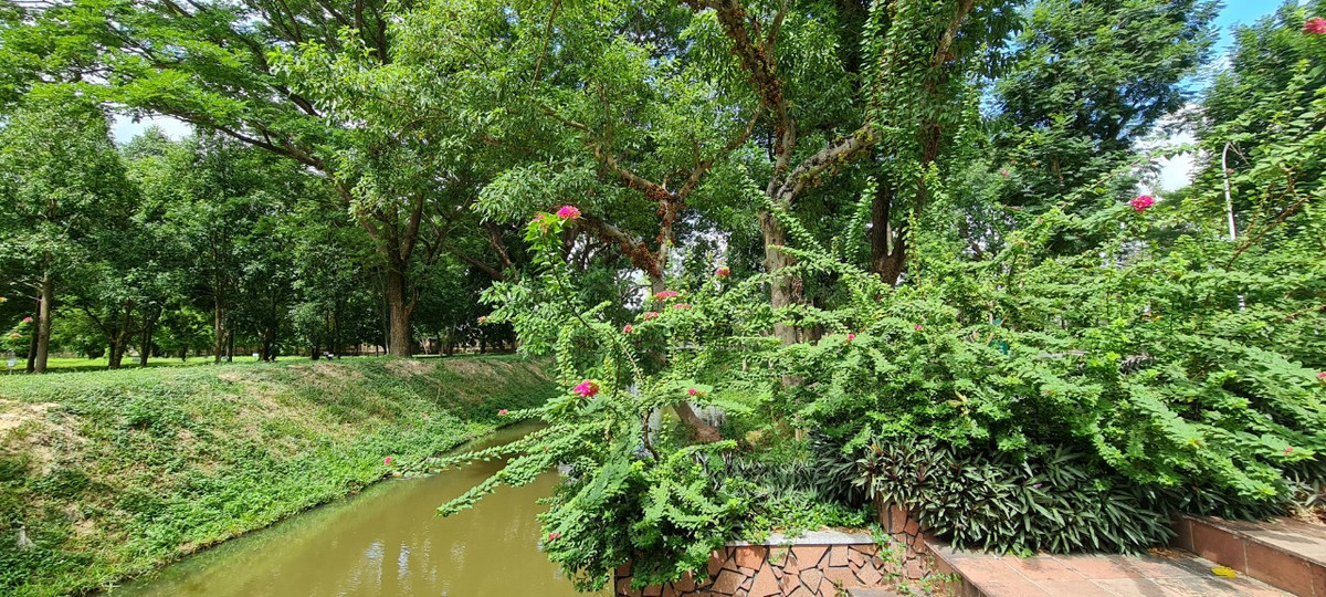 Và thả hồn vào không gian xanh mướt của Bảo tàng Quang Trung...