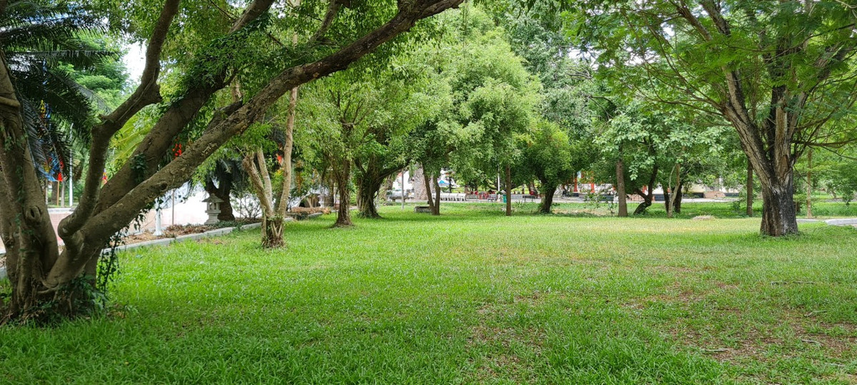 Ngoài ra, Bảo tàng còn sở hữu không gian thoáng đãng với khuôn viên rộng lớn, xanh mát.