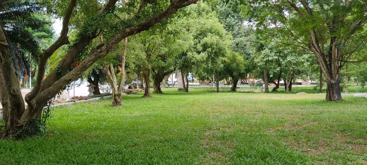 Ngoài ra, Bảo tàng còn sở hữu không gian thoáng đãng với khuôn viên rộng lớn, xanh mát.