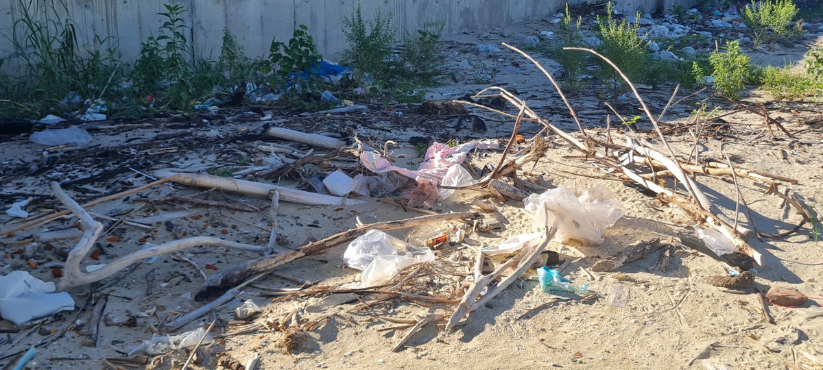 Nhiều nhất là các cành cây khô, bao ni lông...