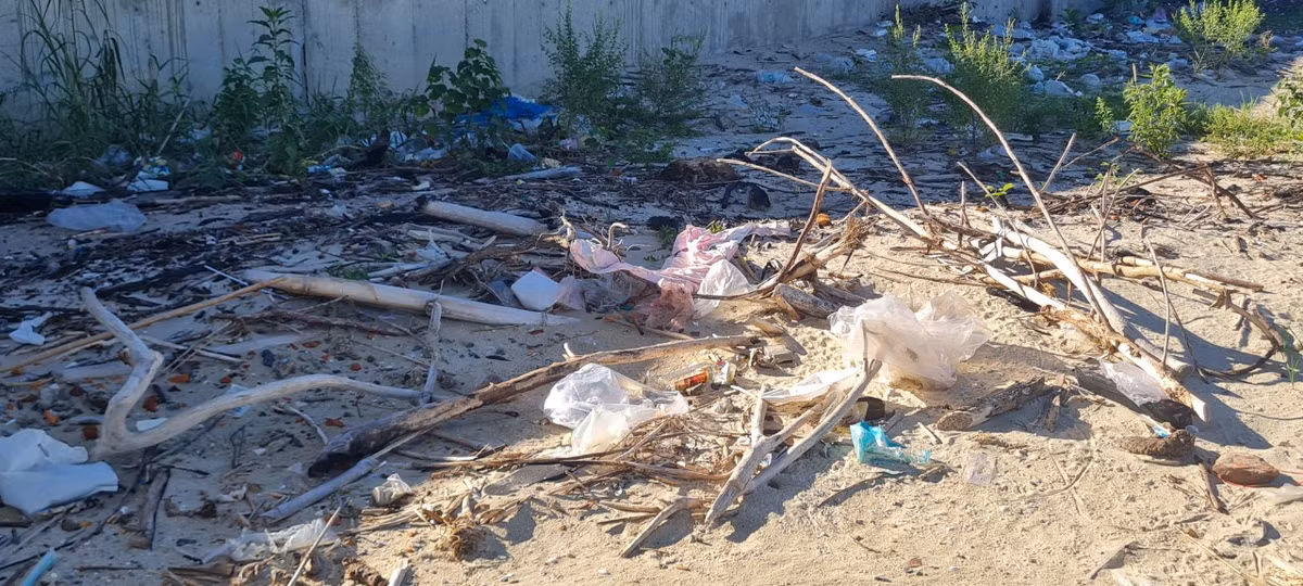 Nhiều nhất là các cành cây khô, bao ni lông...