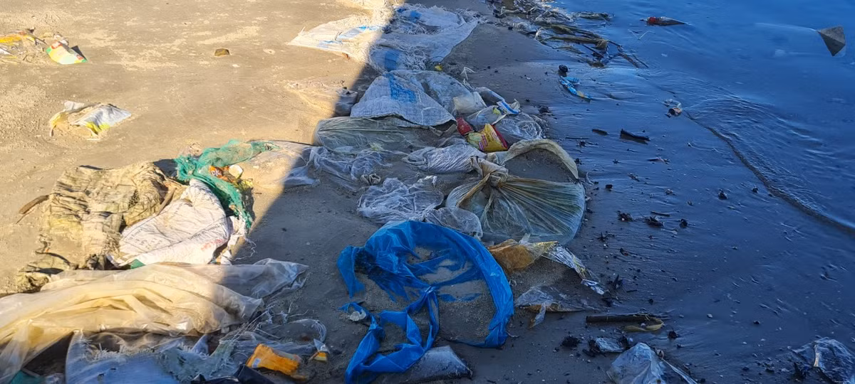 ...Và rác nửa chìm nửa nổi trên bãi biển.