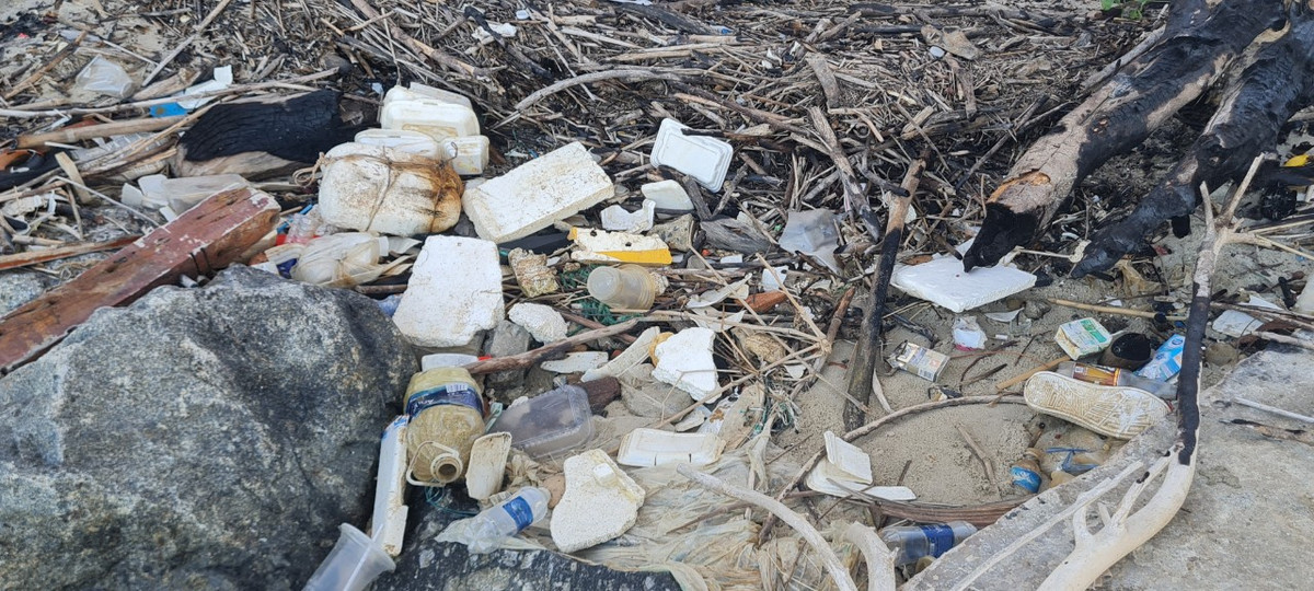 ...cho đến các loại chai chựa, ly nhựa, hộp xốp...