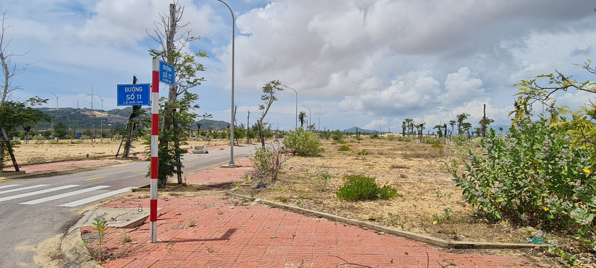 "Nhiều người mua liền một lúc vài lô để "lướt sóng" kiếm lời. Ai cũng nghĩ đất nền ven biển Quy Nhơn sẽ lên gấp đôi, gấp ba trong thời gian ngắn.", D. kể về thời đất "sốt xình xịch". Thế nhưng, sau nhiều lần "sốt ảo", hiện trạng Khu đô thị du lịch sinh thái Nhơn Hội vẫn chỉ là các ô đất trống liền kề.