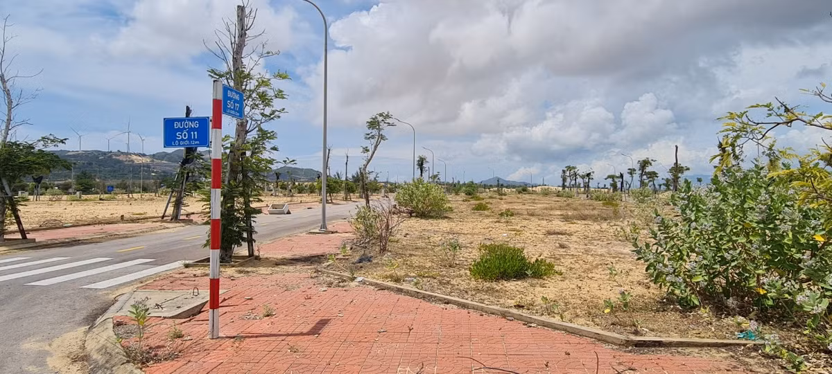 "Nhiều người mua liền một lúc vài lô để "lướt sóng" kiếm lời. Ai cũng nghĩ đất nền ven biển Quy Nhơn sẽ lên gấp đôi, gấp ba trong thời gian ngắn.", D. kể về thời đất "sốt xình xịch". Thế nhưng, sau nhiều lần "sốt ảo", hiện trạng Khu đô thị du lịch sinh thái Nhơn Hội vẫn chỉ là các ô đất trống liền kề.